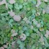 500g Irregular acrylic beads in a large mixture